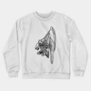 Gum leaf scientific nature black ink pen drawing illustration Crewneck Sweatshirt